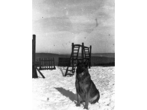 Foto 21